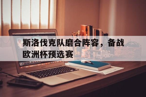 关于斯洛伐克队磨合阵容，备战欧洲杯预选赛的信息