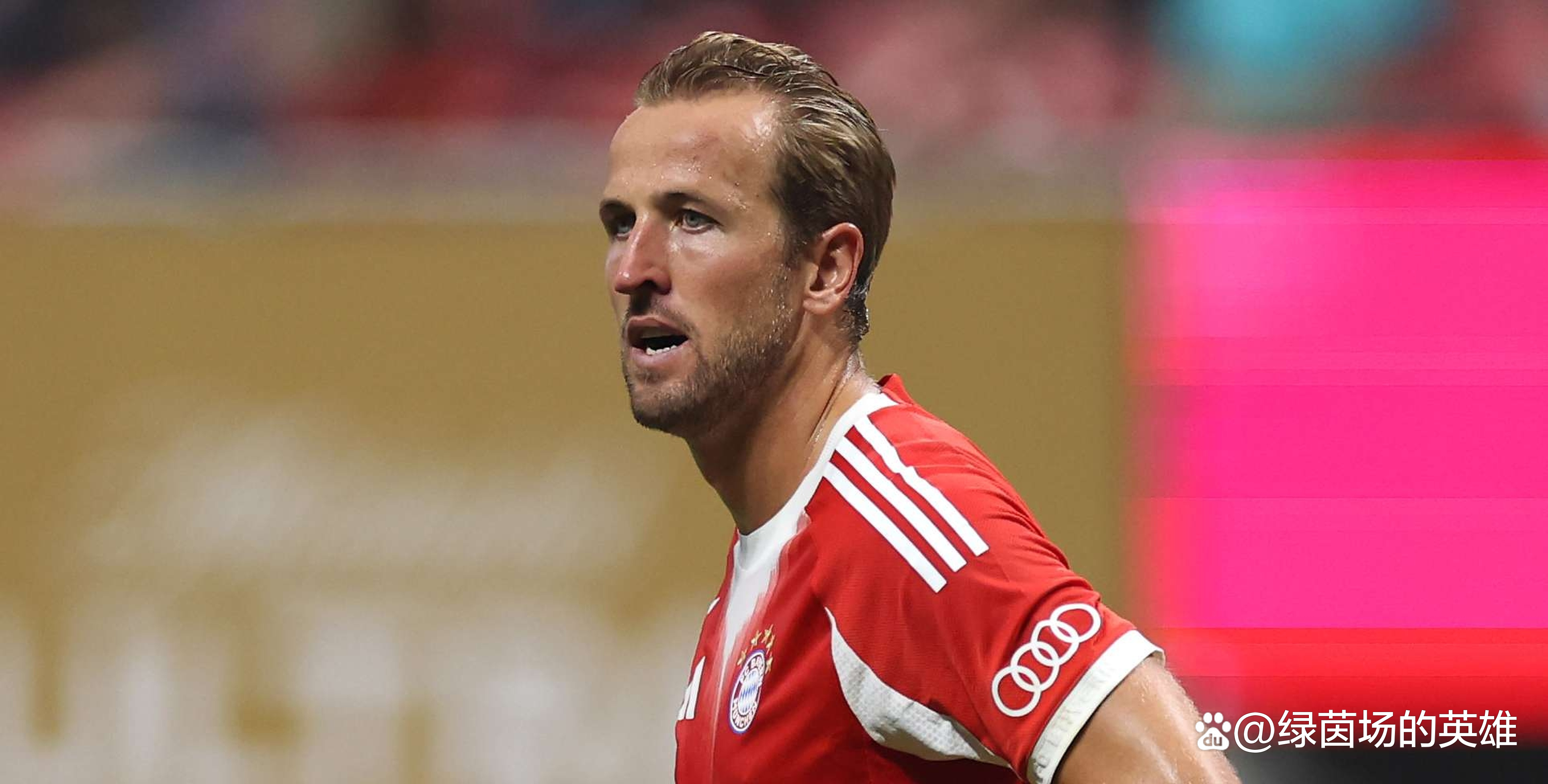  凯恩遭遇五连败，皇家马德里教练面临压力！